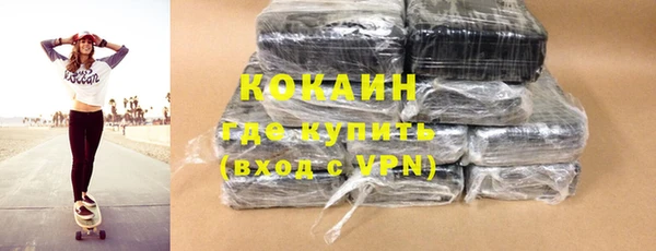 ГАЛЛЮЦИНОГЕННЫЕ ГРИБЫ Ельня