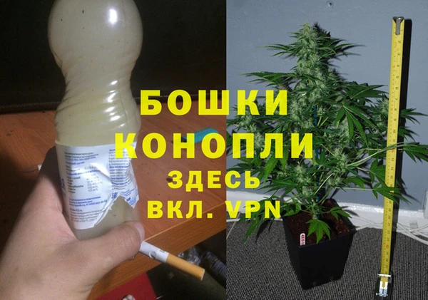 круглые Елизово