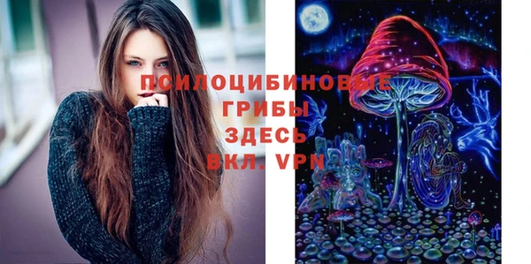 прущий лед Елабуга