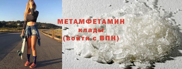 ГАЛЛЮЦИНОГЕННЫЕ ГРИБЫ Ельня