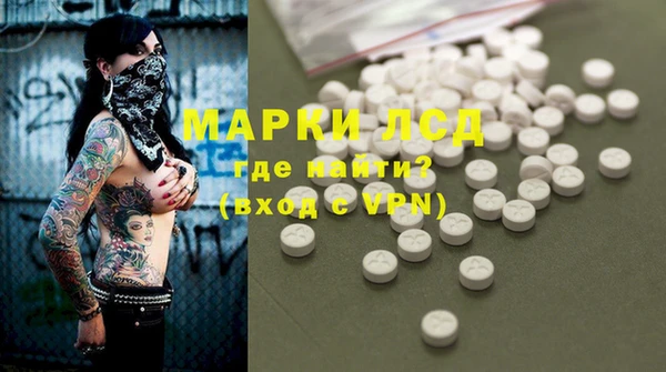 ГАЛЛЮЦИНОГЕННЫЕ ГРИБЫ Ельня