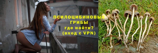 прущий лед Елабуга