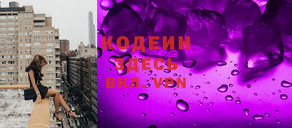 ГАЛЛЮЦИНОГЕННЫЕ ГРИБЫ Ельня