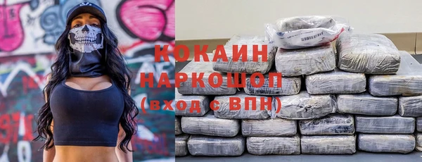 ГАЛЛЮЦИНОГЕННЫЕ ГРИБЫ Ельня