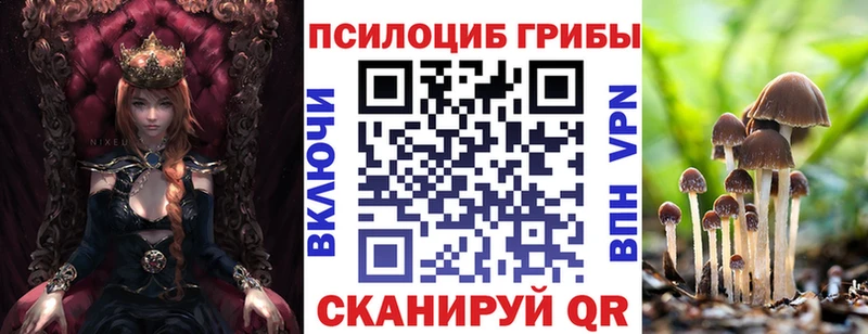 Галлюциногенные грибы MAGIC MUSHROOMS  Купить где  Юрьев-Польский 